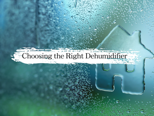 Learn How to Choose a Dehumidifier with One Article