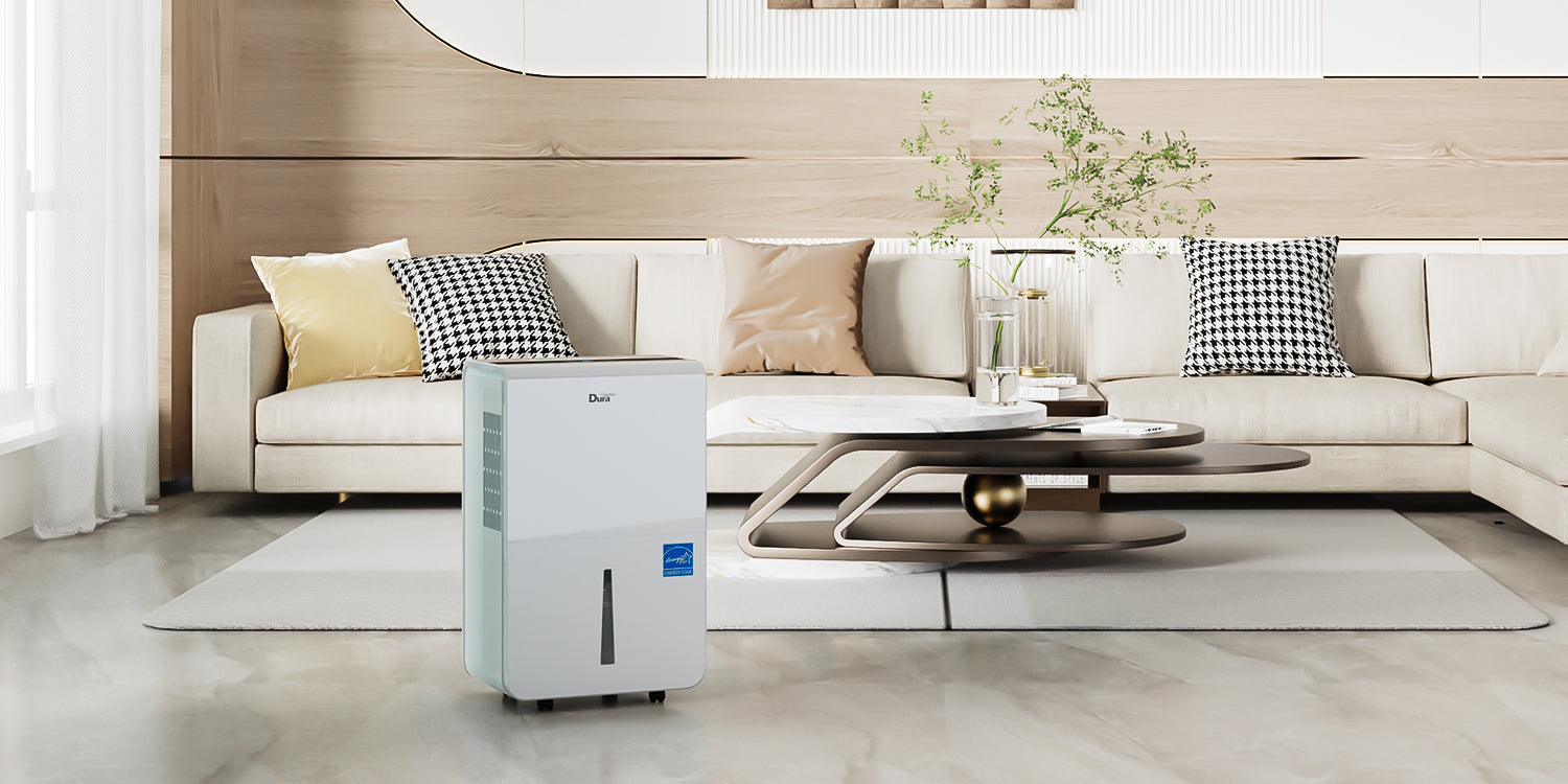 Portable dehumidifier for Home  and basement