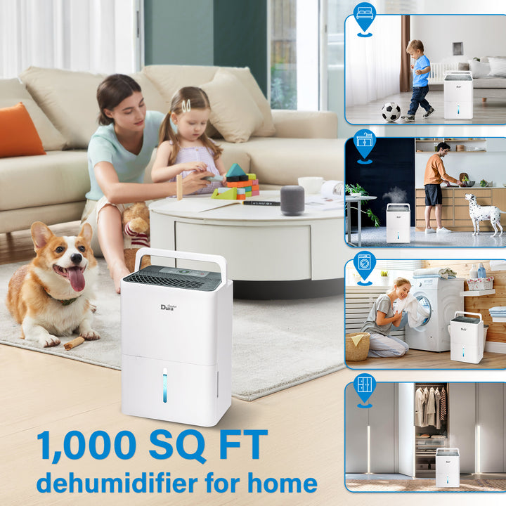 DuraComfort Dehumidifier for Home,1000 Sq. ft 8 Pint with Drain Hose,White