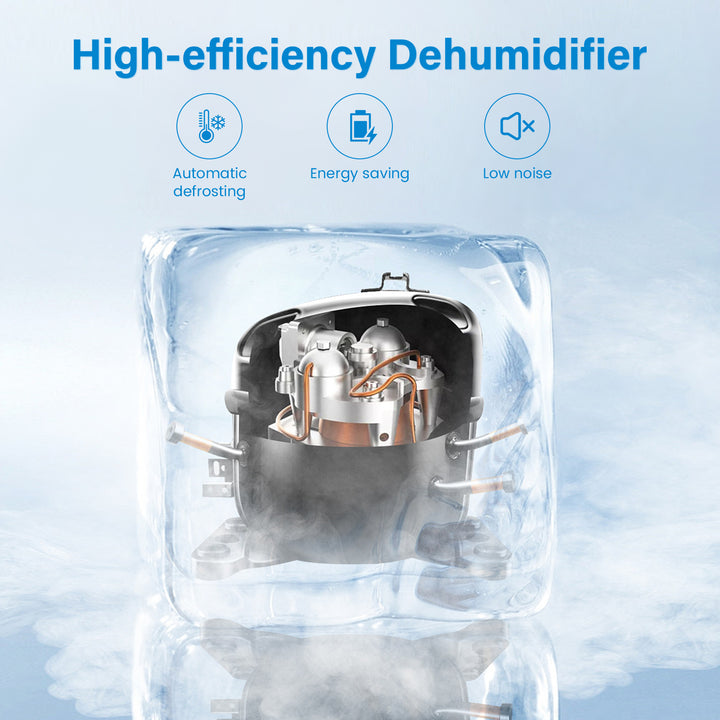 DuraComfort Dehumidifier for Home,1000 Sq. ft 8 Pint with Drain Hose,White